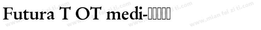 Futura T OT medi字体转换